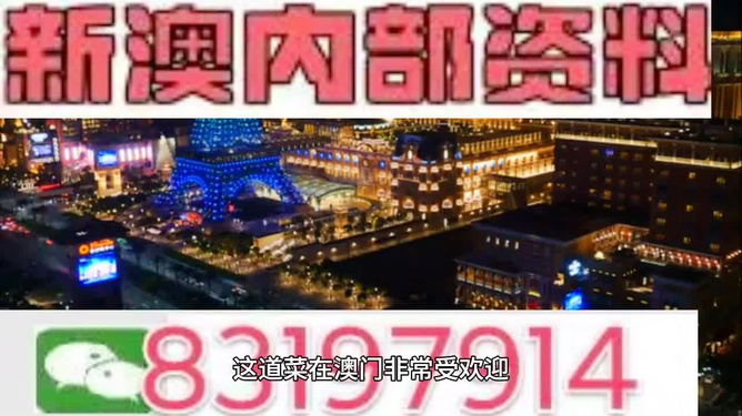 新澳2024年精準(zhǔn)正版資料，關(guān)于新澳2024年精準(zhǔn)正版資料的探討——警惕違法犯罪問題