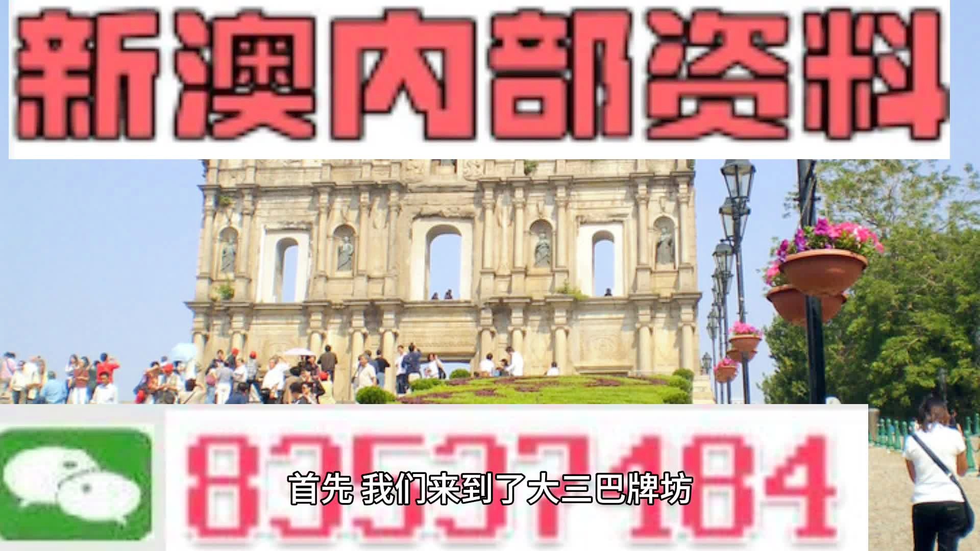 新澳2024正版資料免費公開，新澳2024正版資料免費公開，探索與啟示