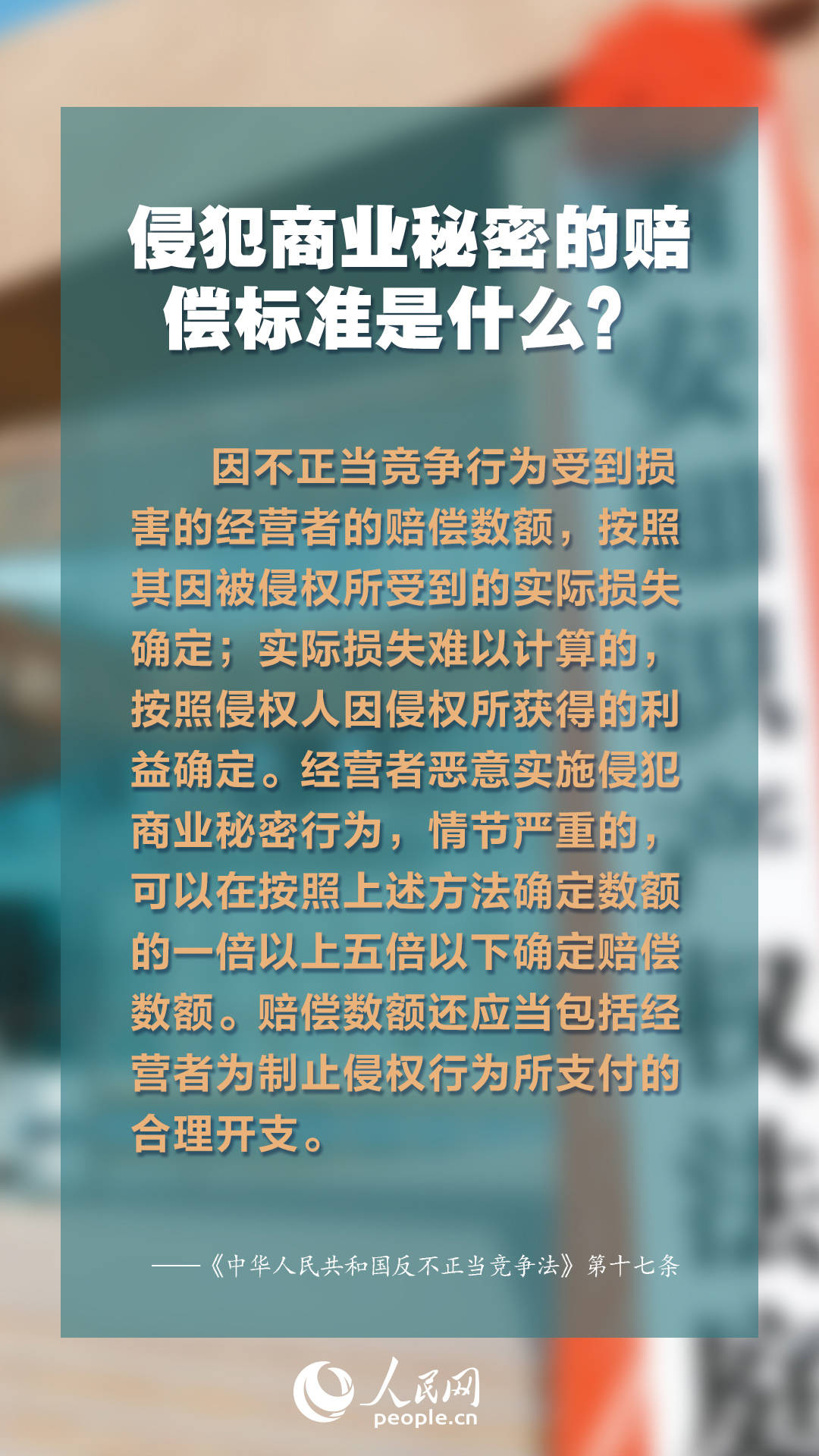 2024年正版資料免費(fèi)大全特色，探索未來(lái)知識(shí)寶庫(kù)——2024正版資料免費(fèi)大全特色展望