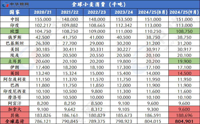 2024新奧歷史開獎記錄49期，揭秘2024新奧歷史開獎記錄第49期，數(shù)據(jù)背后的故事