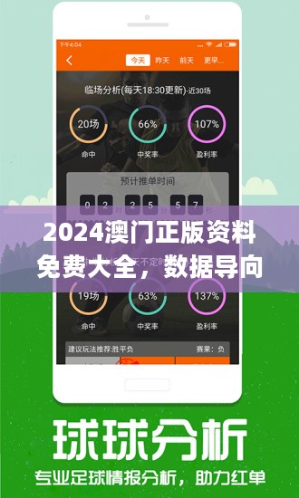 新澳2024正版資料免費公開，新澳2024正版資料免費公開，探索與啟示