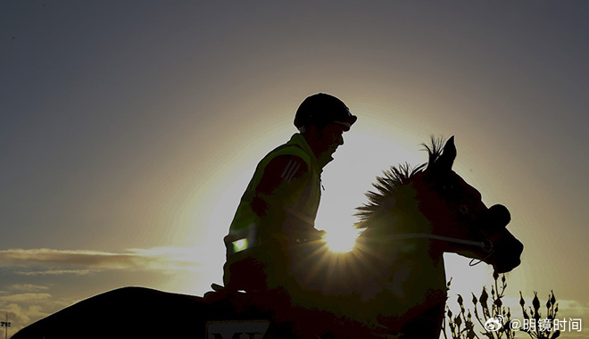 2024澳門今晚開特馬開什么，警惕賭博陷阱，切勿迷信特馬預(yù)測(cè)