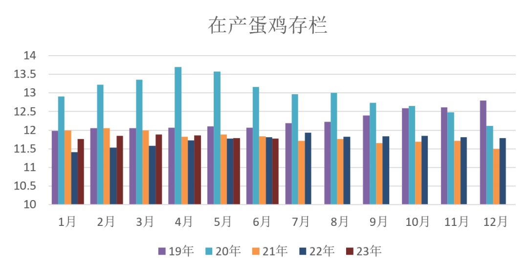 最新消息雞旦走勢(shì)深度解析