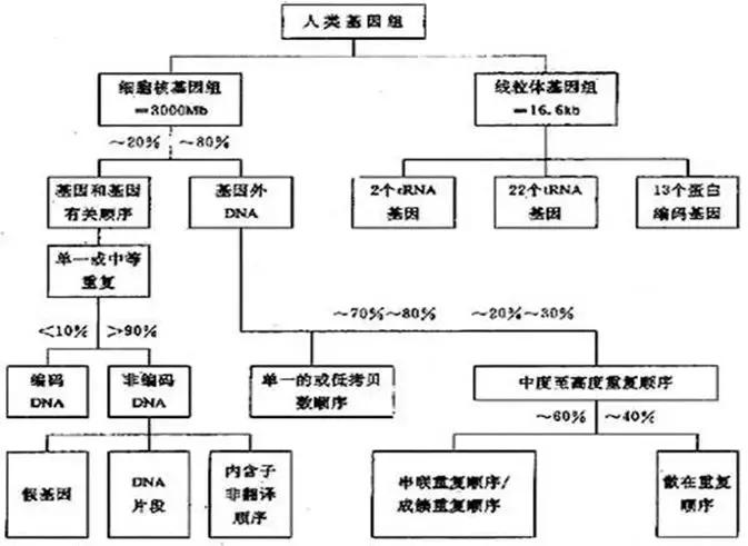 反映我國最新科技發(fā)展成就的資料