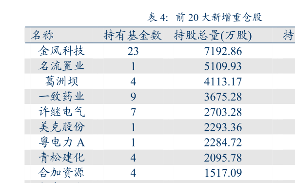 中金策略基金凈值最新動(dòng)態(tài)及其影響