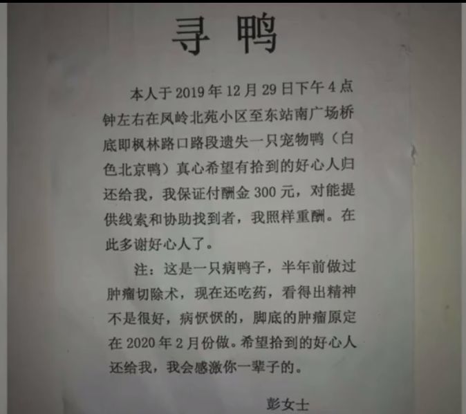 最新海員丙一大廚招聘啟事