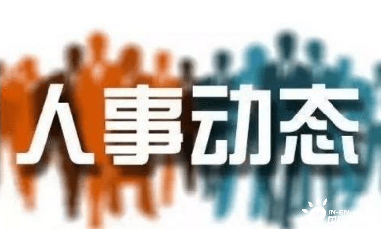 洋浦最新人事任免一覽