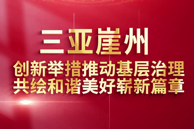 邁向2024，正版資料免費(fèi)公開的嶄新篇章