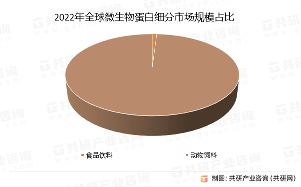 新澳王中王資料大全，深度解析與探索